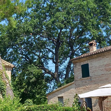 Bb Sanvalentino Bed & Breakfast