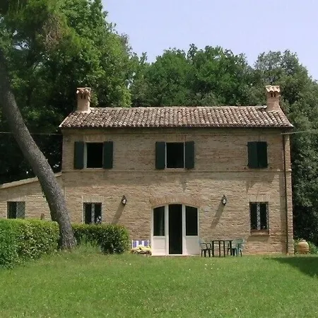 Bb Sanvalentino Osimo