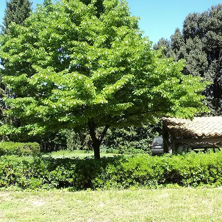 Bb Sanvalentino Osimo